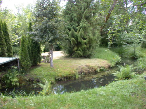 Lower level fireplace